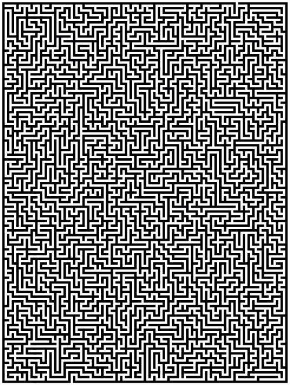 Large maze